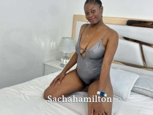 Sachahamilton