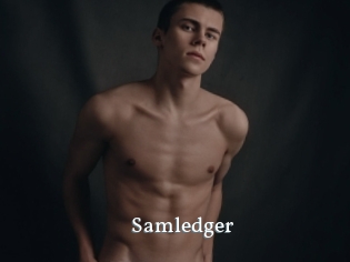 Samledger