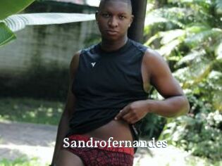 Sandrofernandes