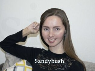 Sandybush