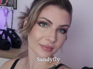 Sandyfly