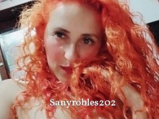 Sanyrobles202