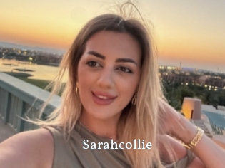 Sarahcollie