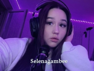Selenagambee