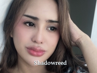 Shadowreed