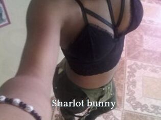 Sharlot_bunny
