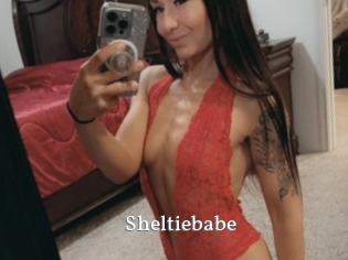 Sheltiebabe