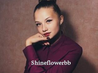 Shineflowerbb