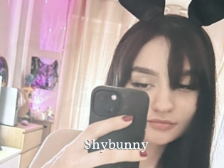 Shybunny