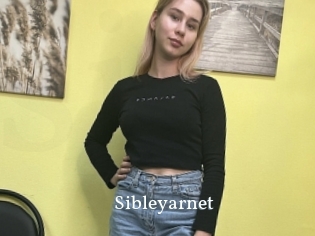 Sibleyarnet