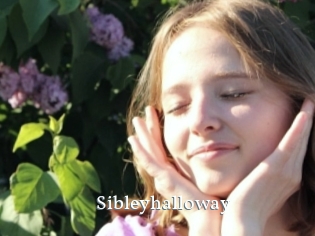 Sibleyhalloway