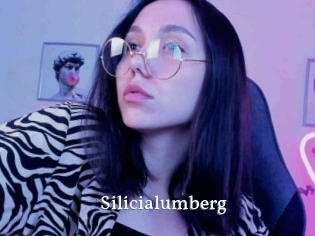 Silicialumberg