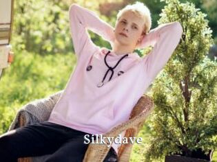 Silkydave