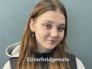 Silverbridgewate