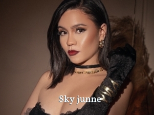 Sky_junne