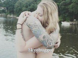 Skyebugger