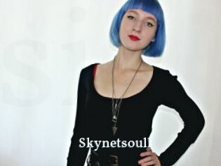 Skynetsoull