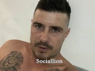 Sociallion