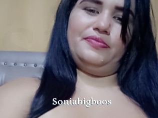 Soniabigboos