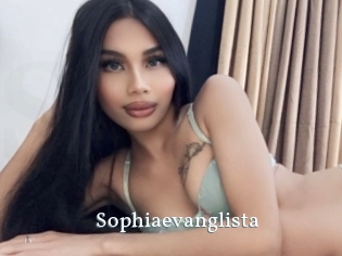 Sophiaevanglista