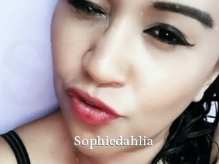 Sophiedahlia