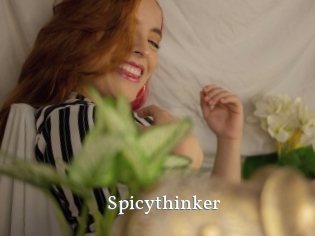 Spicythinker