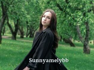 Sunnyamelybb