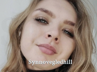Synnovegledhill