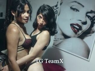 TG_TeamX