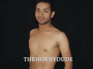 THEHORNYDUDE