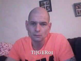 TIJGER01 SexyIdol