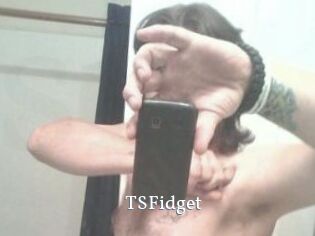 TSFidget