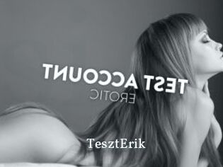 TesztErik