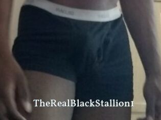 TheRealBlackStallion1