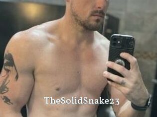 TheSolidSnake23 SexyIdol