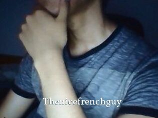 Thenicefrenchguy