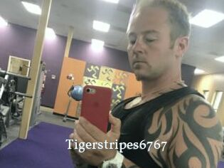 Tigerstripes6767