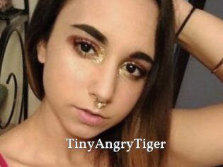 TinyAngryTiger