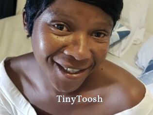 TinyToosh