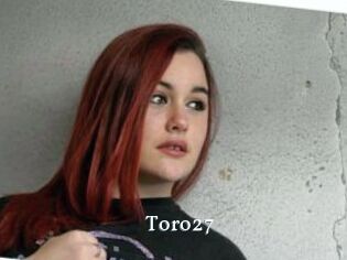 Toro27