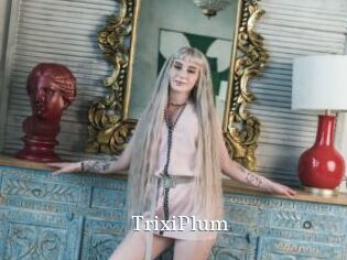 TrixiPlum