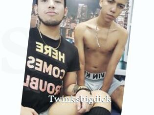 Twinksbigdick