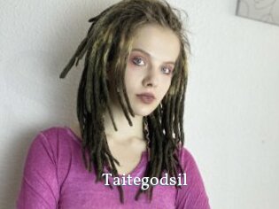 Taitegodsil