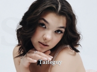 Taiteguy
