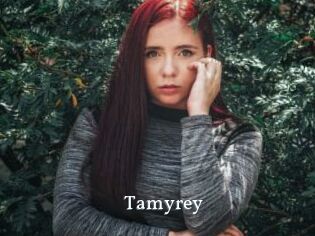 tamyrey SexyIdol