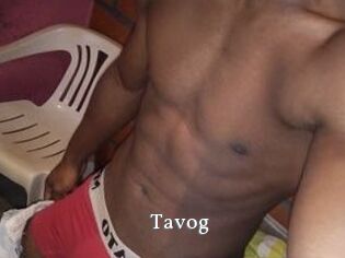 Tavog