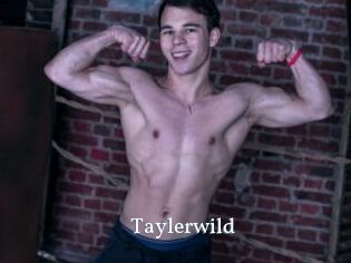 Taylerwild