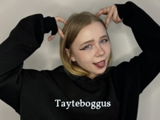 Tayteboggus