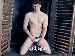 Tedjaguar