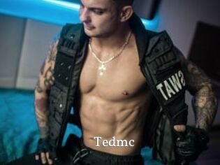 tedmc SexyIdol